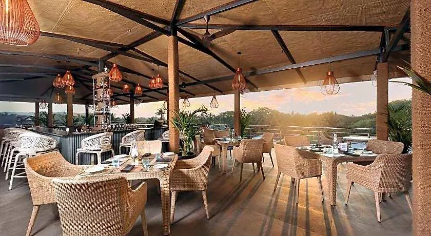 Acacia Goa-1